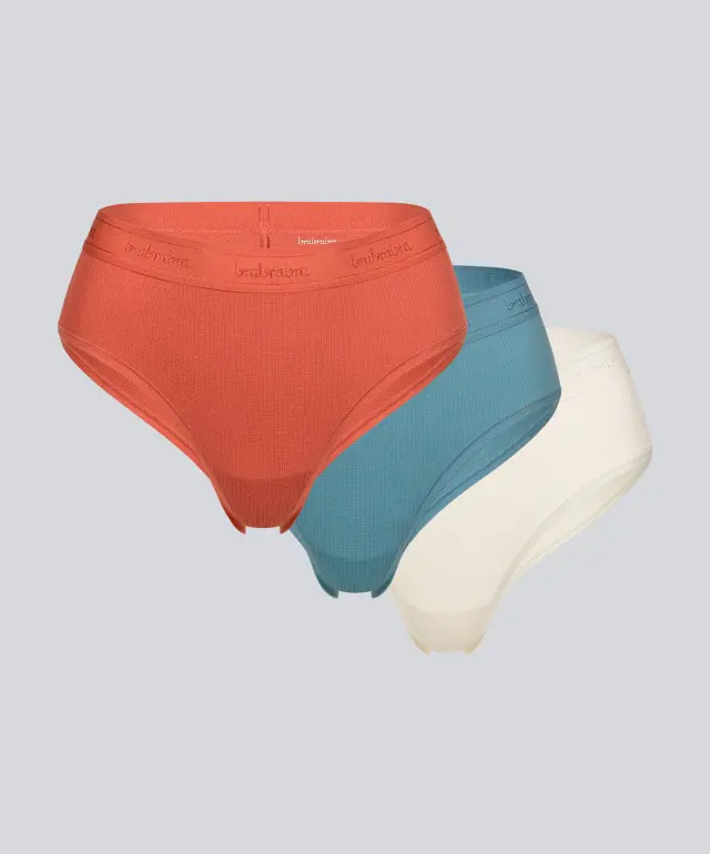 Majtki brief 403K (3 szt)